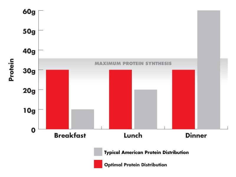 A graph demonstrating Typical American protein Distribution